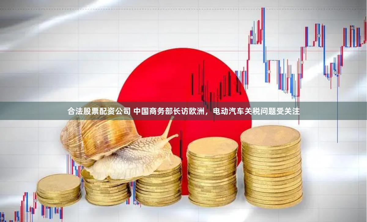合法股票配资公司 中国商务部长访欧洲，电动汽车关税问题受关注