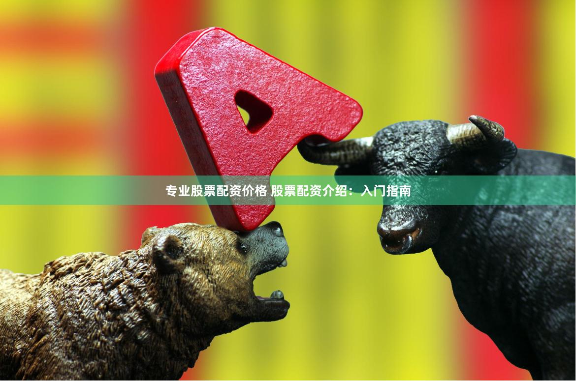 专业股票配资价格 股票配资介绍：入门指南