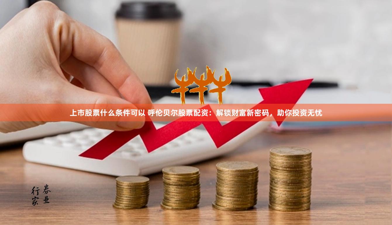 上市股票什么条件可以 呼伦贝尔股票配资：解锁财富新密码，助你投资无忧